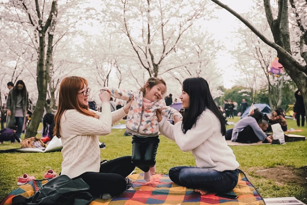Joint Family Vs Nuclear Family Advantages And Disadvantages The 