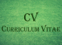 full form of CV