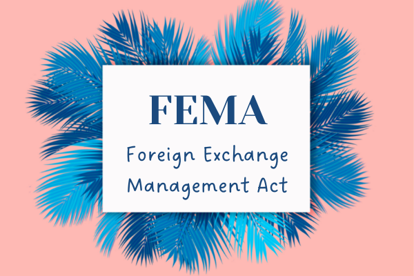 What Is The Full Form Of FEMA - FEMA Full Form - The Study Cafe